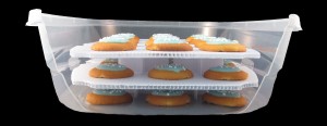 stackable trays insert into container